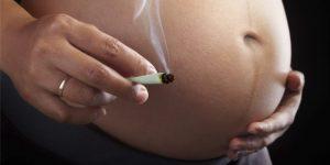 Niewygodna prawda o ciąży i marihuanie, CannApteka.pl