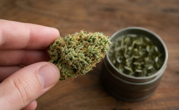 Jak dokladnie dziala THC